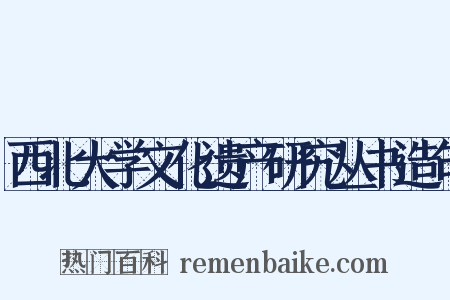 西北大学文化遗产研究丛书造句是什么意思的图片